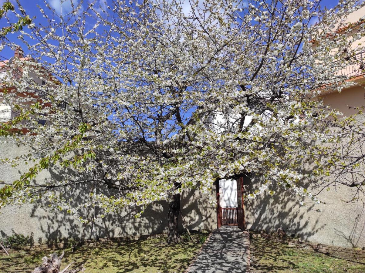 Cerchiara di Calabria Antica Dimora Palazzo Rovitti B&B 외부 사진